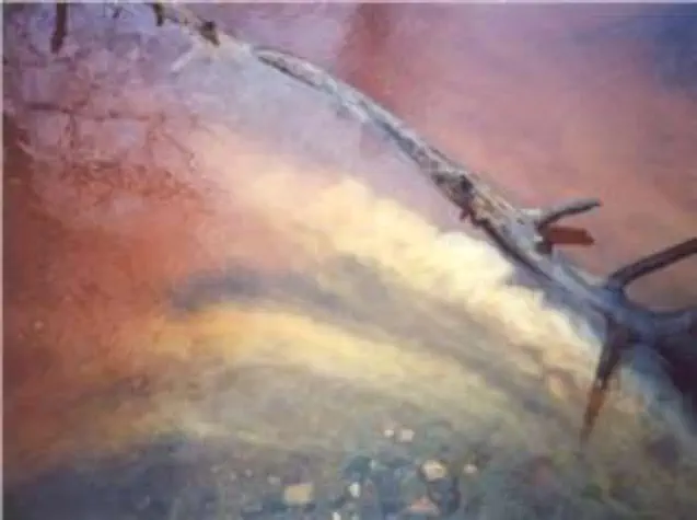 Sediment in water Sediment in water