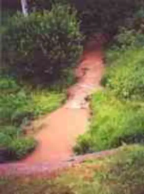 Nutrients and ​Toxic Compounds in runoff