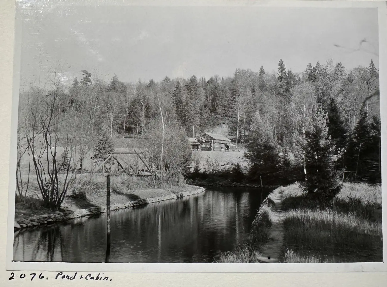Cooks run cabin and pond