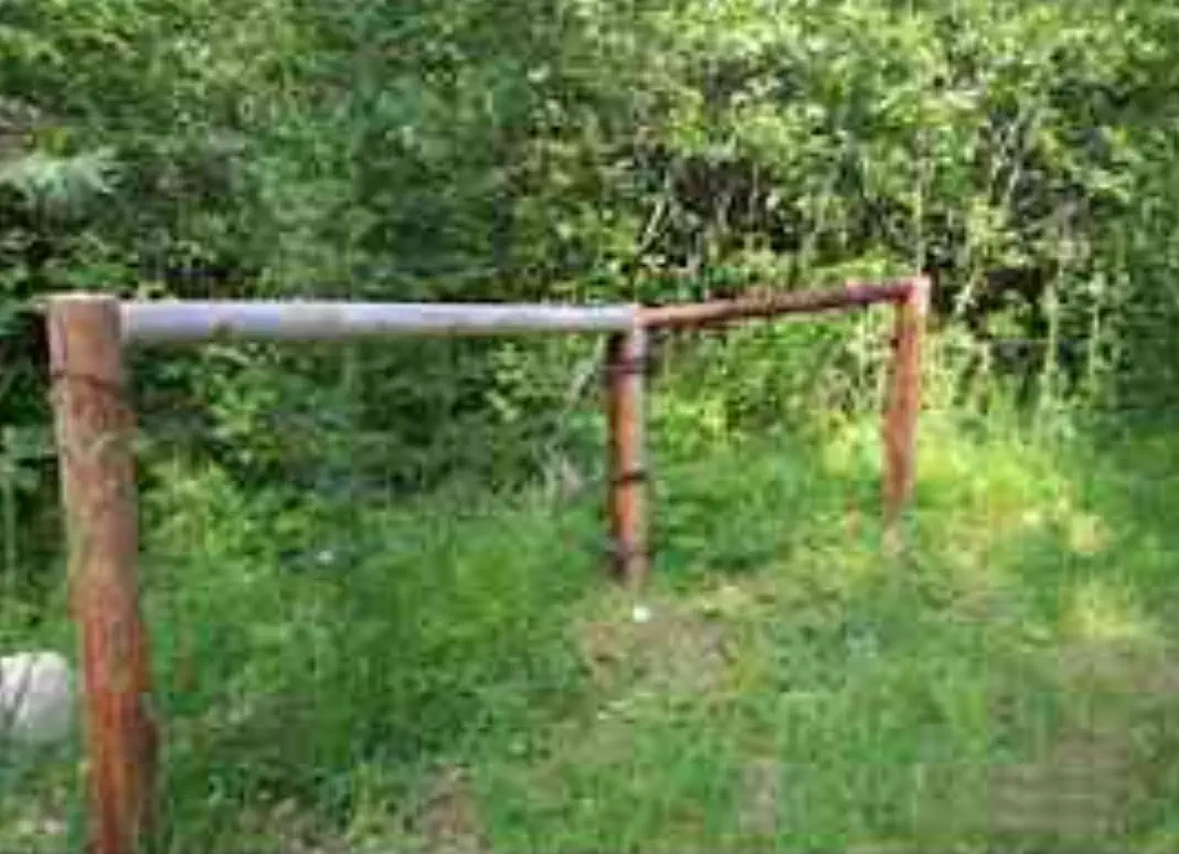 Fencing to keep livestock out of water