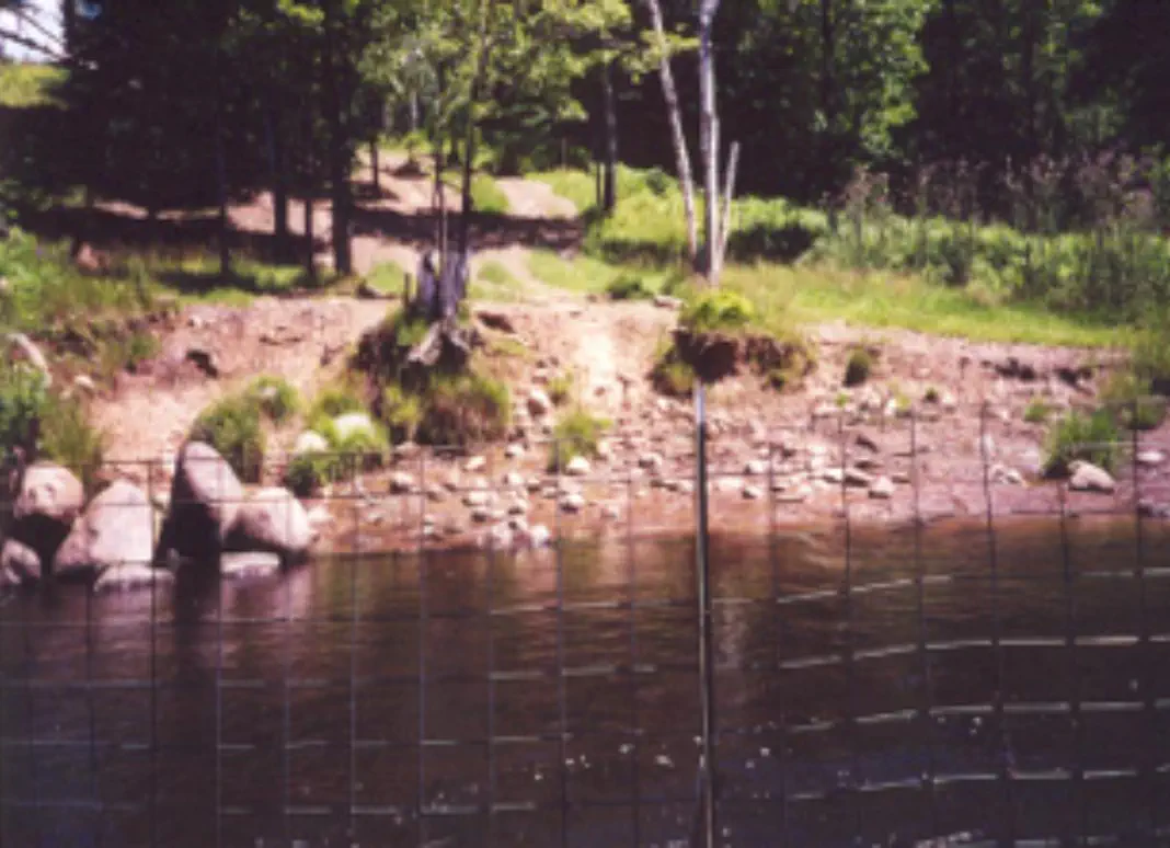 Erosion from livestock access had caused stream bank erosion