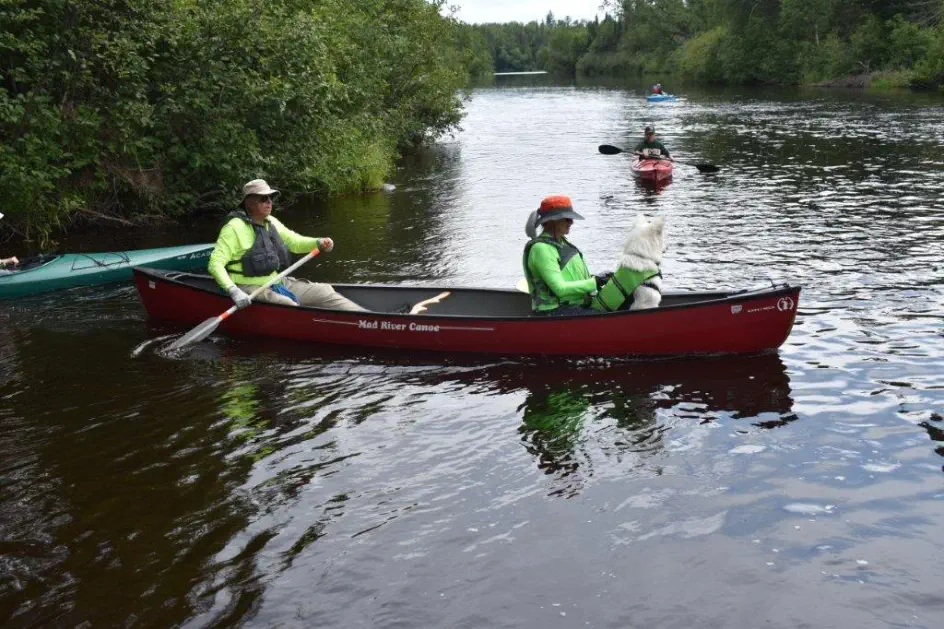 Putting canoe into Paint River