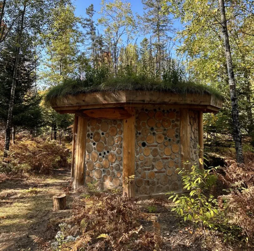 Completed park shelter with grass growing on roof