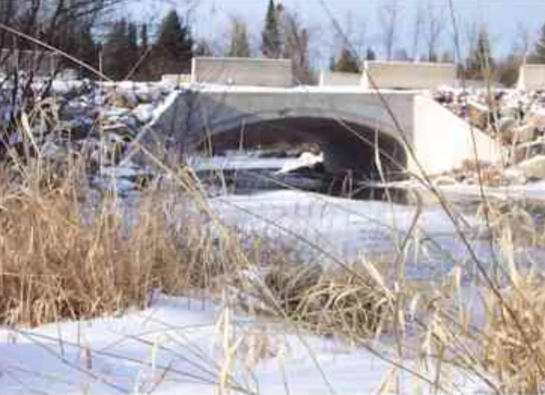 View of bridge from downstream