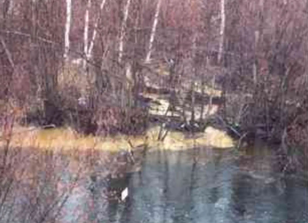sediment buildup along edge of stream