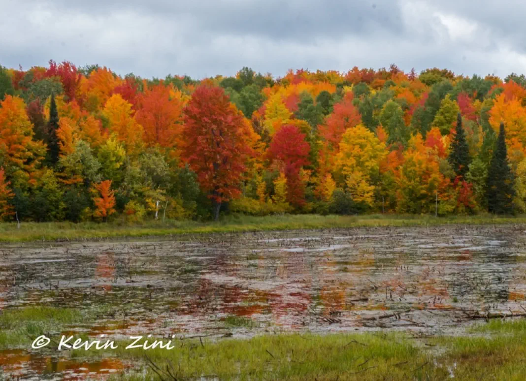 Small lake with trees in fall colors